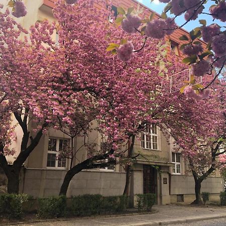 Апарт-Отель "Галаговъ" Uzhhorod Bagian luar foto